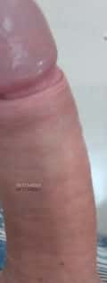 Acompanhante Loirinho Nota Dz