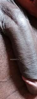 Acompanhante Alexandre