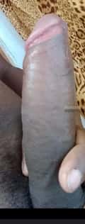 Acompanhante Gil