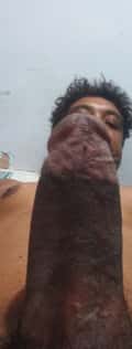 Acompanhante Sabino