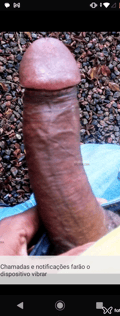 Acompanhante Kinho