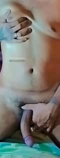 Acompanhante Willy