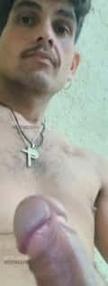Acompanhante Tom Marques