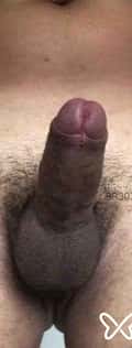 Acompanhante Bernardo