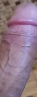 Acompanhante Magno