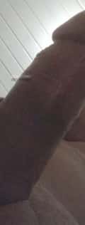 Acompanhante Índio
