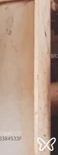 Acompanhante Roberto