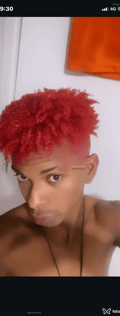 Acompanhante Estevão