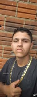 Acompanhante Luis Silva