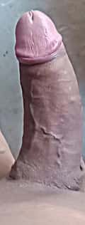 Acompanhante Baiano
