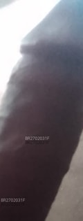 Acompanhante Márcio Lemos