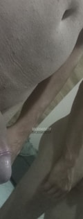 Acompanhante Singlegato