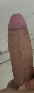 Acompanhante Xxxandre