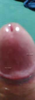 Acompanhante Ursinhopaugostoso