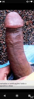Acompanhante Kinho