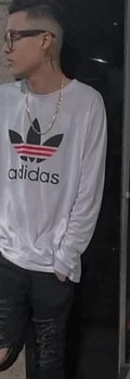 Acompanhante Sebastião