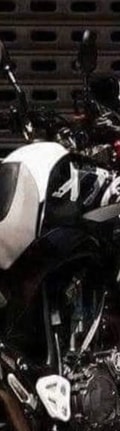 Acompanhante Fernandes Zs