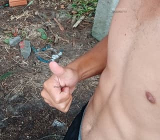 Acompanhante em Imbituba-SC - Lucasafado