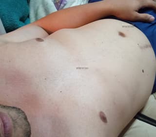 Acompanhante em Campo Novo do Parecis-MT - Sócasais