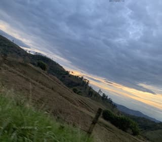 Acompanhante em Nova Friburgo-RJ - Sayfer