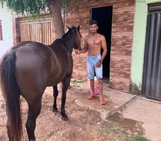 Acompanhante em Juazeiro do Norte-CE - Vaqueiro