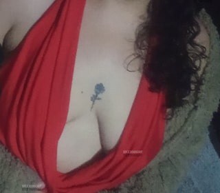 Acompanhante Badcat