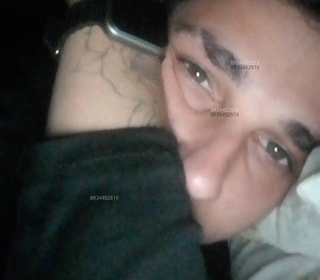 Acompanhante Bernardo